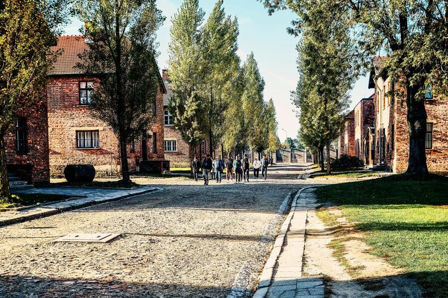 Krakow: Auschwitz-Birkenau Live Guided Tour & Hotel Pickup - Who This Tour Suits Best (and Who Might Find It Too Much)
