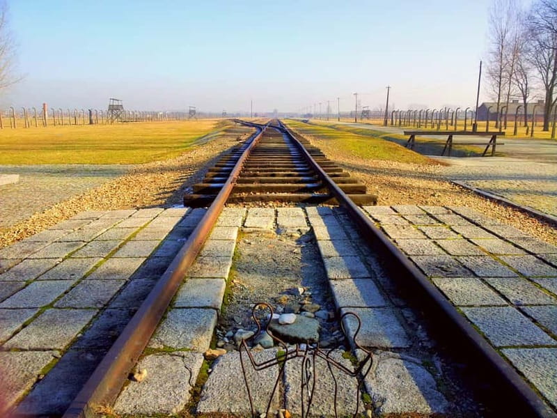Krakow: Auschwitz-Birkenau Memorial Tour with Optional Lunch - Key Points Before You Go