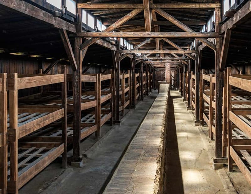 Krakow: Auschwitz-Birkenau Memorial Tour with Optional Lunch - Headsets, Pace, and How to Make the Day Feel Manageable
