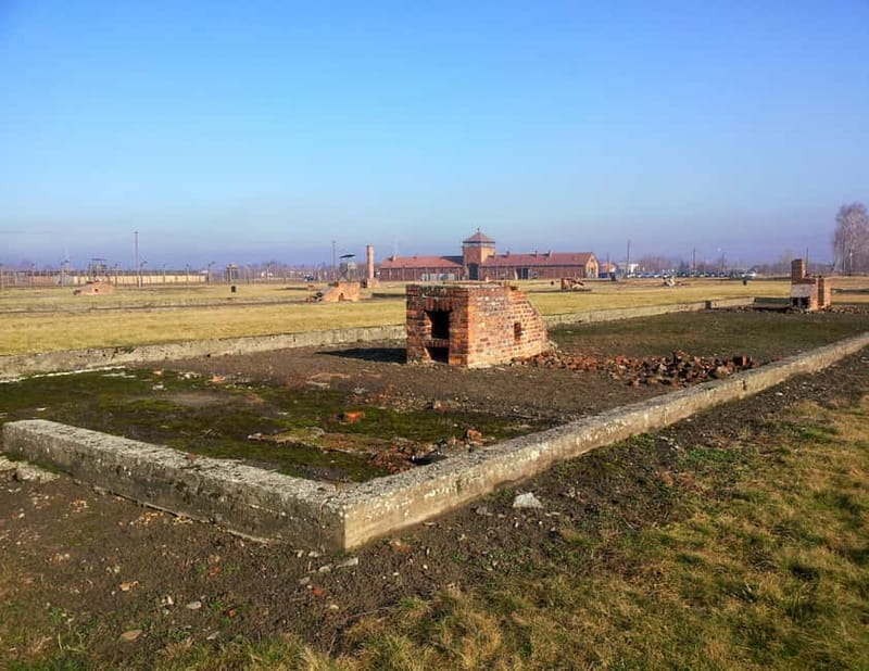Krakow: Auschwitz-Birkenau Memorial Tour with Optional Lunch - What You’ll Get Included, and What Optional Lunch Changes