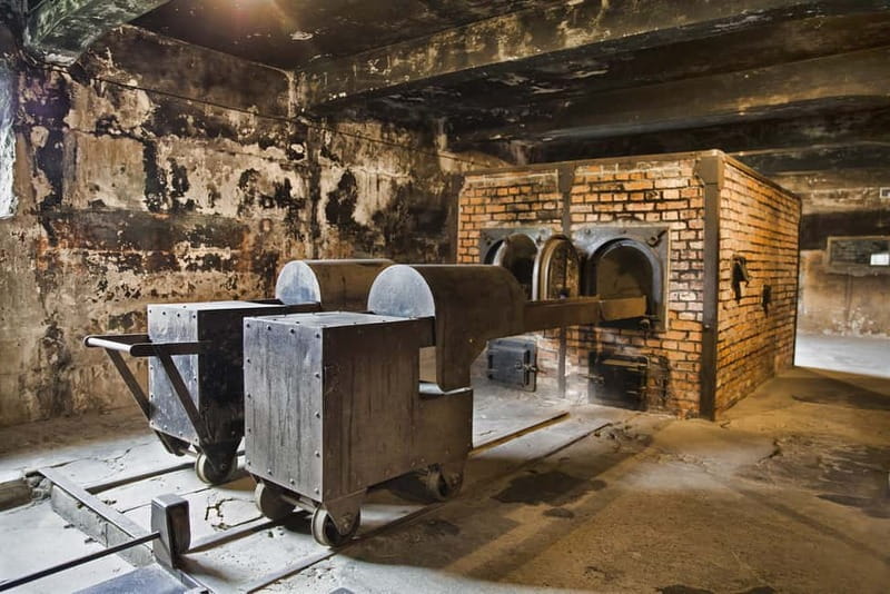 Krakow: Auschwitz-Birkenau Memorial Tour with Optional Lunch - Price and Value at $139: Worth It When Timing Goes Smooth