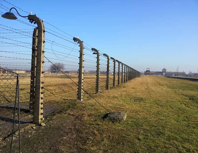 Krakow: Auschwitz-Birkenau Memorial Tour with Optional Lunch - Who Should Book This Tour, and Who Should Skip It