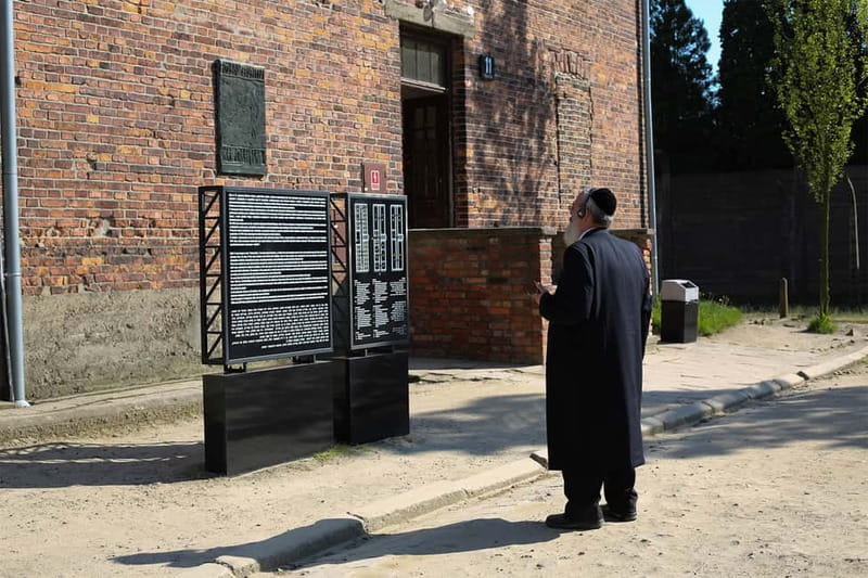 Krakow: Auschwitz-Birkenau Private Guided Tour - Private door-to-door ride from Krakow, with a serious destination ahead