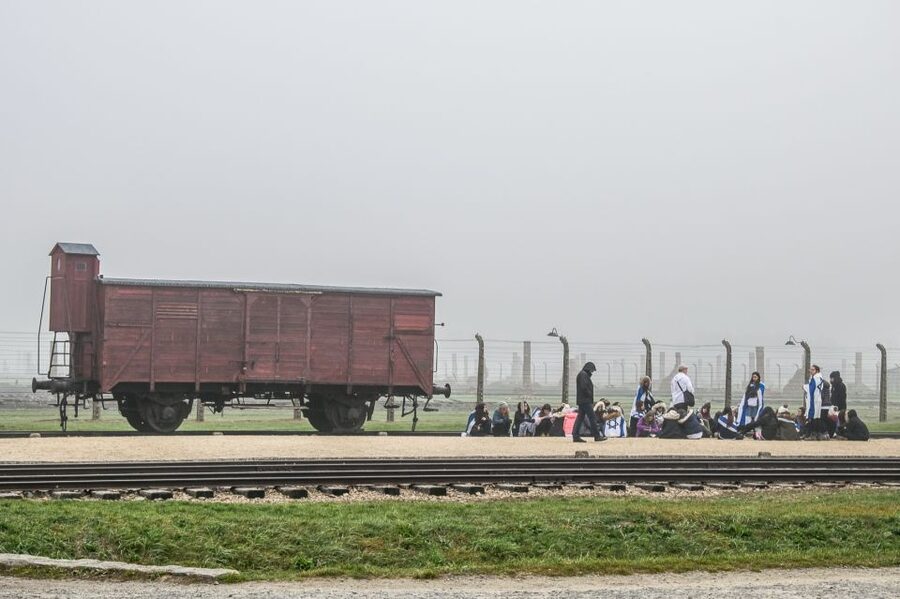 Kraków: Auschwitz-Birkenau & Salt Mine Full-Day Guided Tour - Who should book, and who should skip