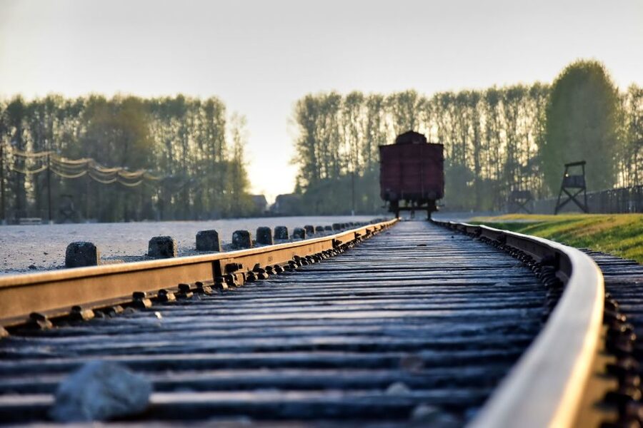Kraków: Auschwitz-Birkenau & Salt Mine Full-Day Guided Tour - Auschwitz-Birkenau first, so the day has a strong shape