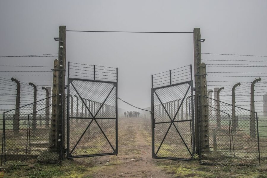 Kraków: Auschwitz-Birkenau & Salt Mine Full-Day Guided Tour - Emotion control tip: expect a respectful, serious pace