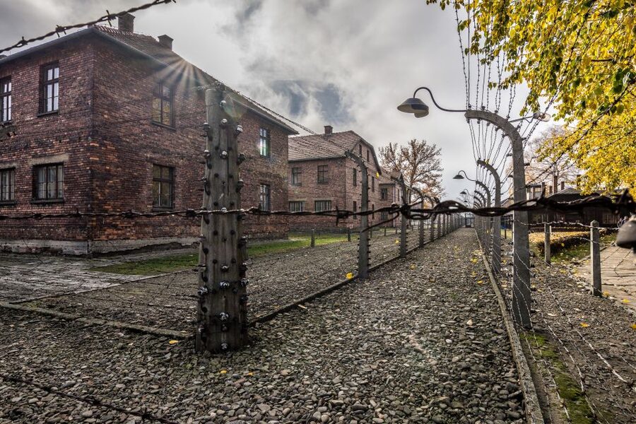 Kraków: Auschwitz-Birkenau & Salt Mine Full-Day Guided Tour - The timing shift: how lunch and the bus break up the day