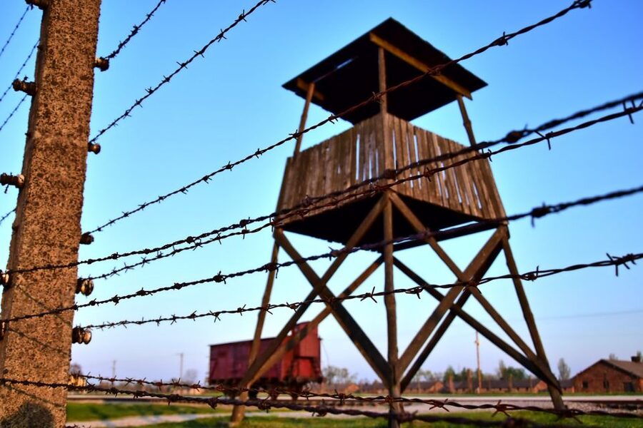 Kraków: Auschwitz-Birkenau & Salt Mine Full-Day Guided Tour - Wieliczka Salt Mine: 800 steps, then an underground art world