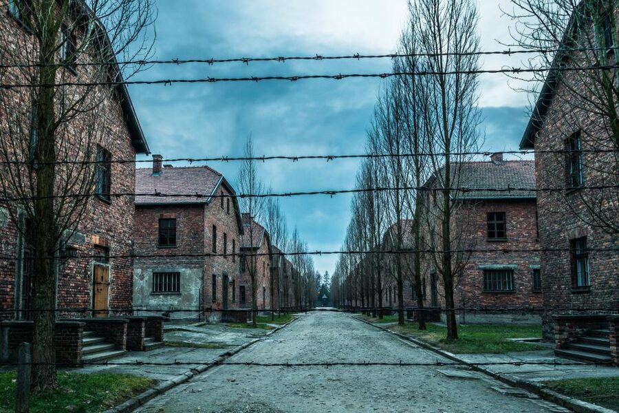 Kraków: Auschwitz-Birkenau & Salt Mine Full-Day Guided Tour - What the free time is for inside the mine