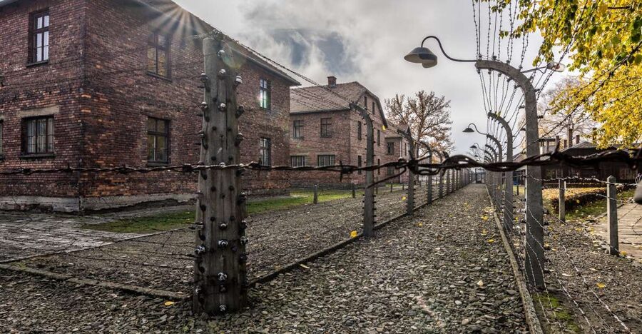Kraków: Auschwitz-Birkenau & Salt Mine Full-Day Guided Tour - Price and value: why 27 USD can still make sense