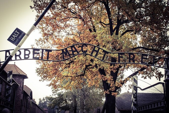 Krakow: Auschwitz-Birkenau Shared English Tour and Transfer - The Short Break, Then the Jump to Birkenau Parking