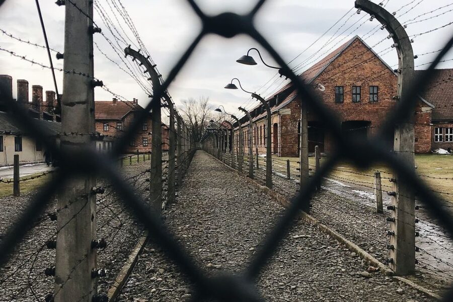 Krakow: Auschwitz-Birkenau Tour Limited to 15 Visitors - Price and value for $89, what you really get