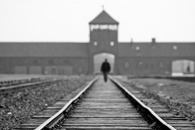 Krakow: Auschwitz-Birkenau Tour & Museum Expert Guide - Breaks, walking, and the day’s pacing (including toilets and heat)