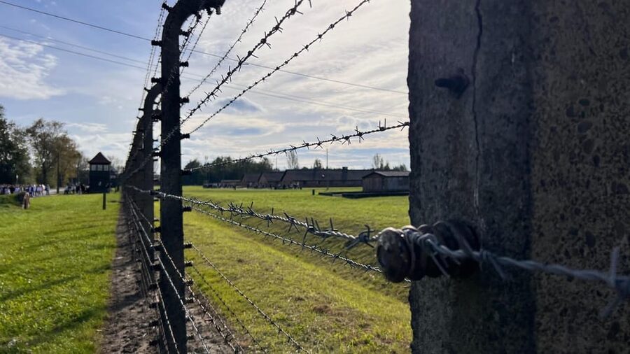 Krakow: Auschwitz-Birkenau & Wieliczka Salt Mine with Lunch - Between camps: waiting time, buses, and staying sane