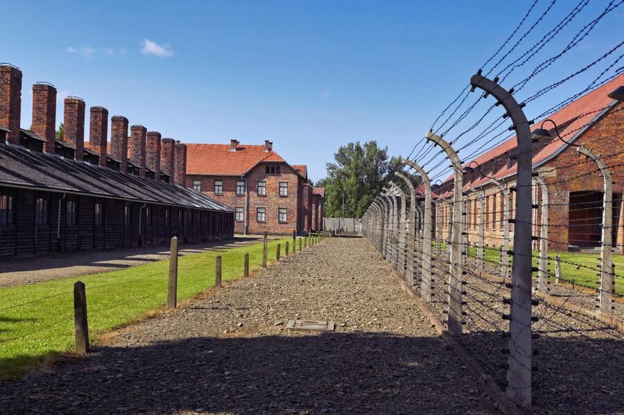 Krakow: Auschwitz Guided Tour with Optional Hotel Pickup - Who This Tour Fits Best, and Who Might Want Another Plan