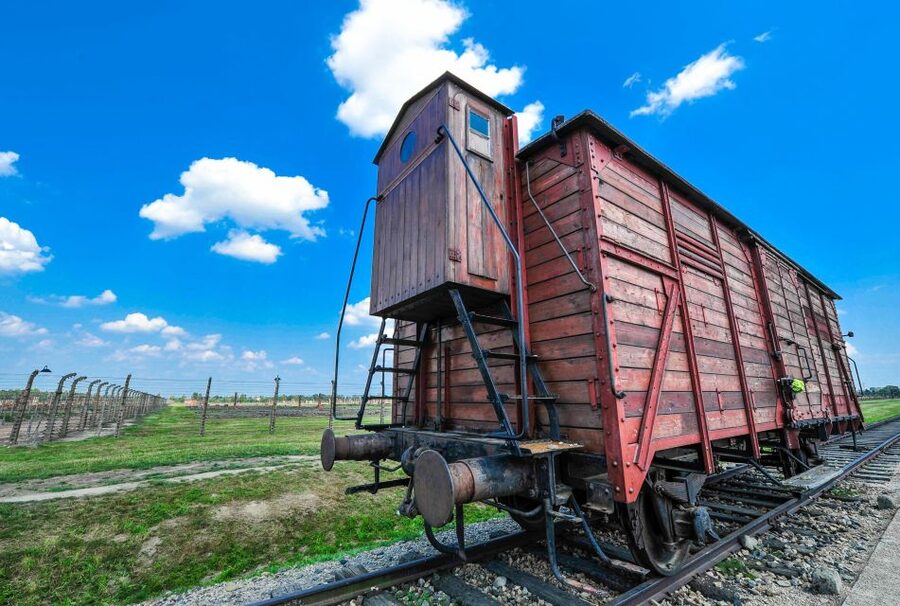 Krakow: Auschwitz Guided Tour with Optional Hotel Pickup - Price and Value: What $69 Really Buys You