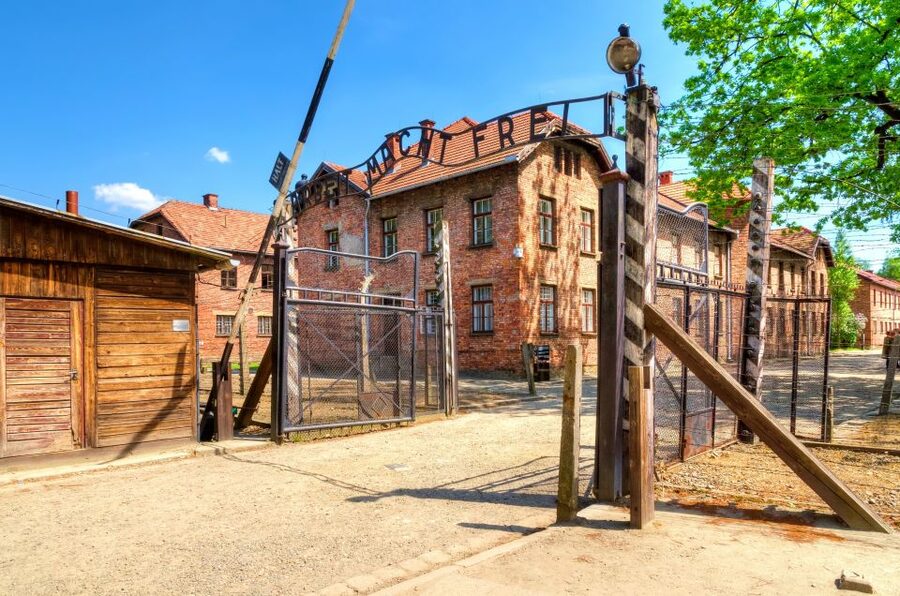Krakow: Auschwitz Guided Tour with Optional Hotel Pickup - Pickup, Transport, and Why the Start Time Matters