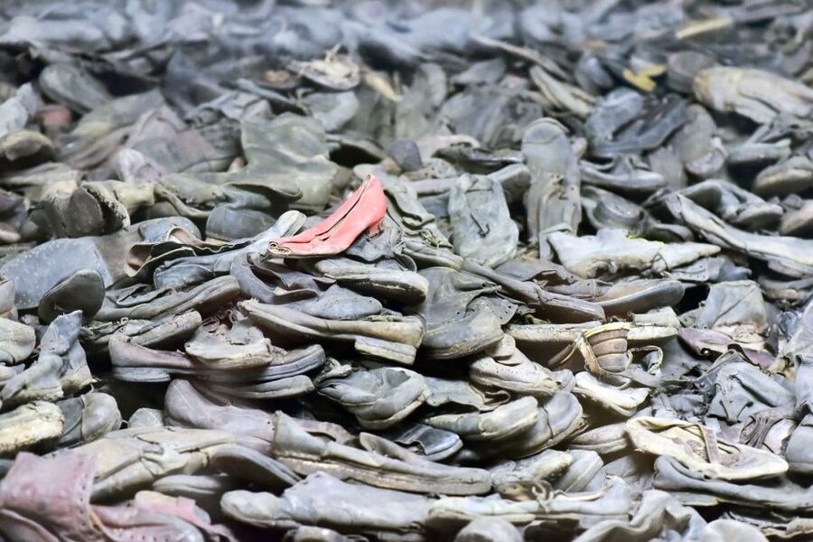Krakow: Auschwitz Guided Tour with Pickup and Optional Lunch - Key highlights worth your time