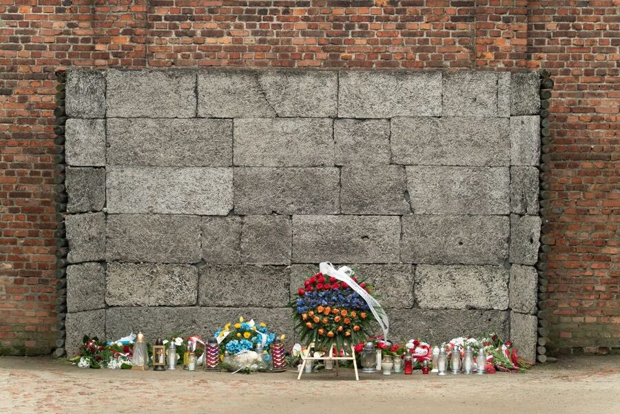 Krakow: Auschwitz Guided Tour with Pickup and Optional Lunch - 15 Minutes to Reset, Then Birkenau Auschwitz II