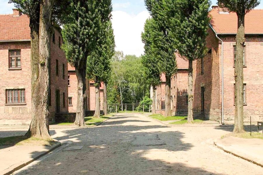 Krakow: Auschwitz & Wieliczka Salt Mine Guided Day Tour - Should You Book This Krakow Auschwitz & Wieliczka Day Tour?