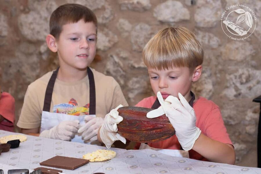 Krakow: Chocolate Workshop - What Happens During the Workshop, From Bean-to-Bar Basics to Making