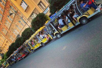 City Sightseeing Tour Eco Electric Buggy Golf Cart