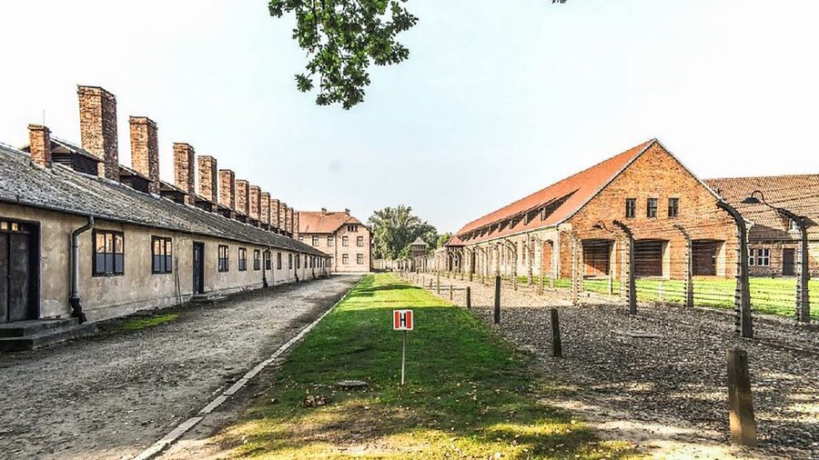 Krakow: Full-Day Auschwitz-Birkenau & Salt Mine Guided Tour - Who should book this, and who should skip it