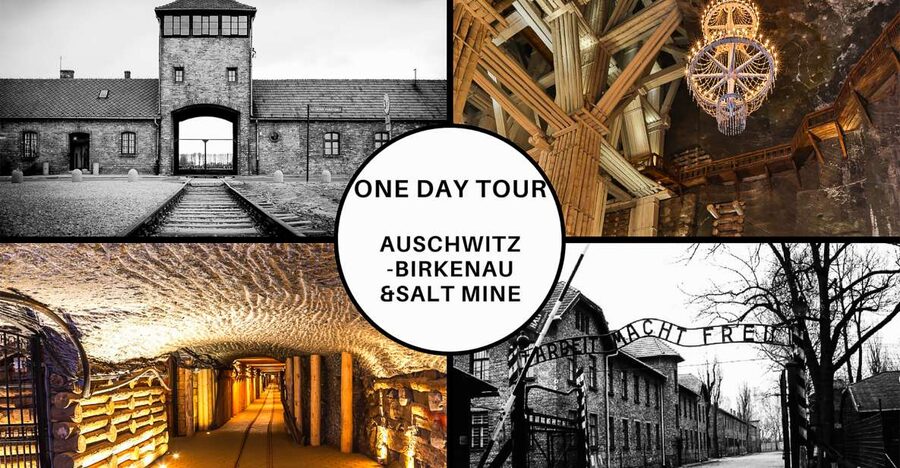 Krakow: Full-Day Auschwitz-Birkenau & Salt Mine Guided Tour - What this Auschwitz plus salt mine combo really feels like