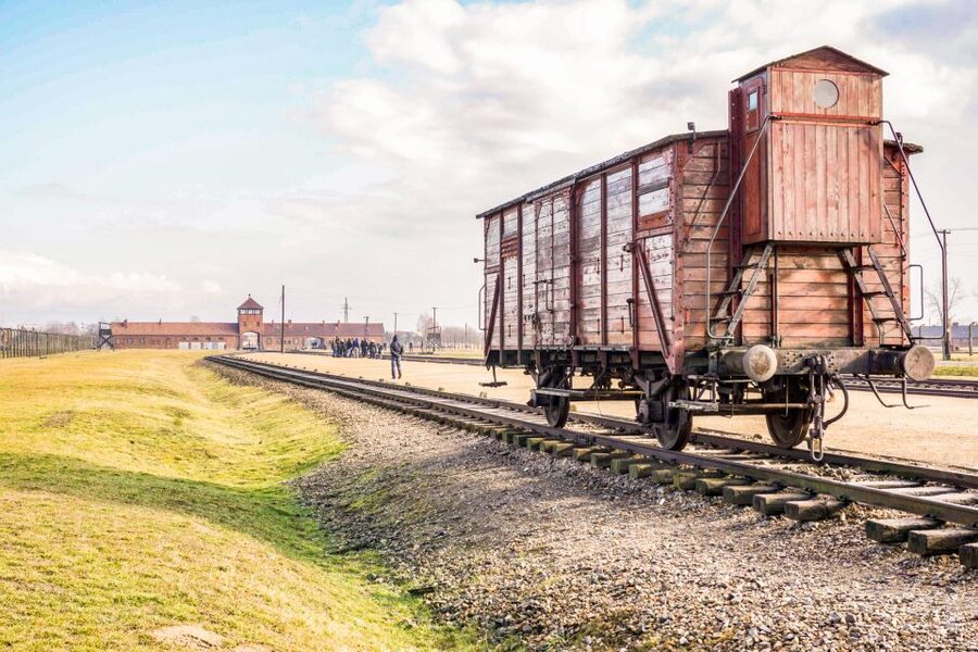 Krakow: Full-Day Auschwitz-Birkenau & Salt Mine Guided Tour - Price at $118: why this can be good value for a long day
