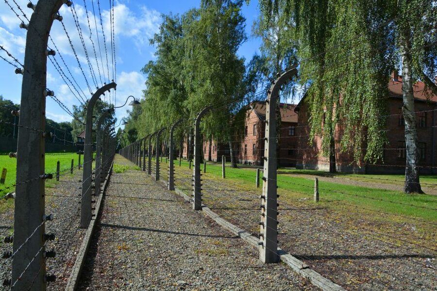 Krakow: Guided Auschwitz Birkenau Tour - Birkenau II: railway ramp, barracks, and the scale of the system