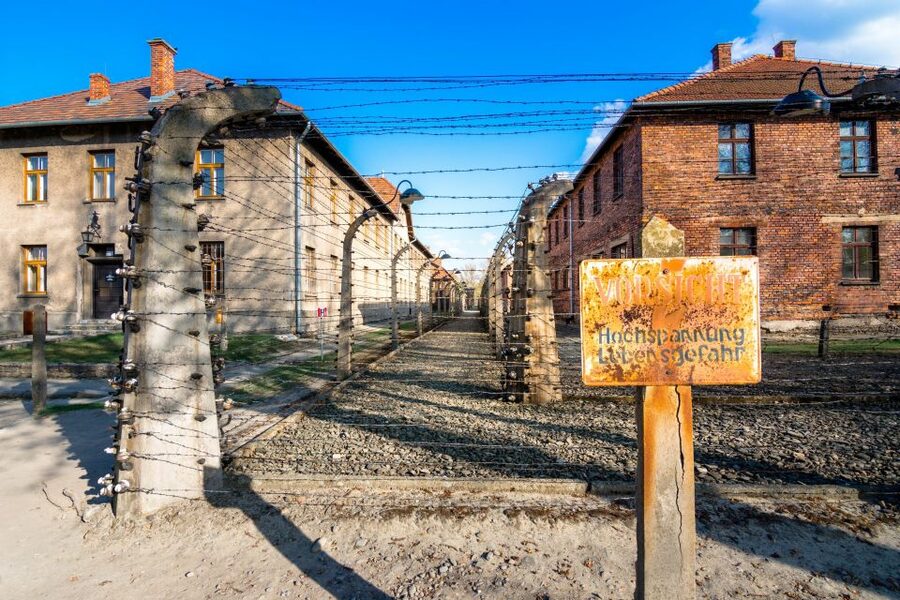 Krakow: Guided Auschwitz Birkenau Tour - Price and value: what $69 gets you (and why it can be worth it)