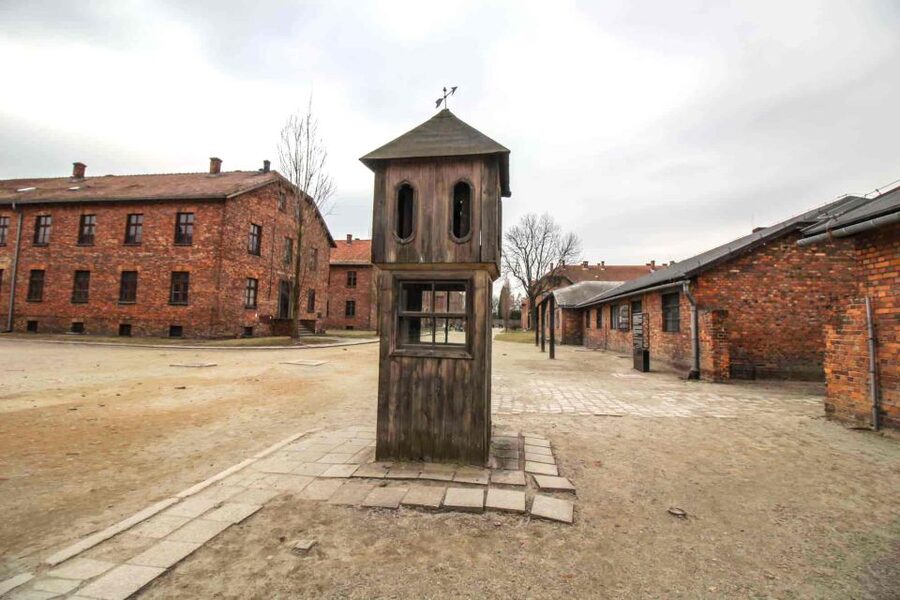 Krakow: Guided Auschwitz-Birkenau Tour - Minivan Transport - Food and Water: What’s Included, What Isn’t, and What to Do