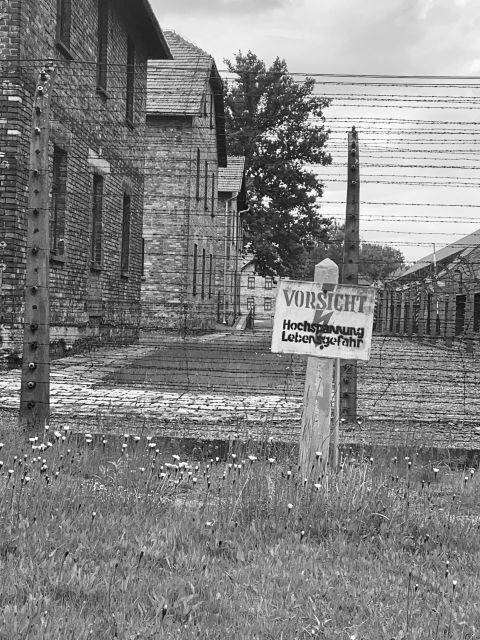 Krakow: Guided Auschwitz-Birkenau Tour - Minivan Transport - The 10-Minute Break: A Small Pause You’ll Appreciate