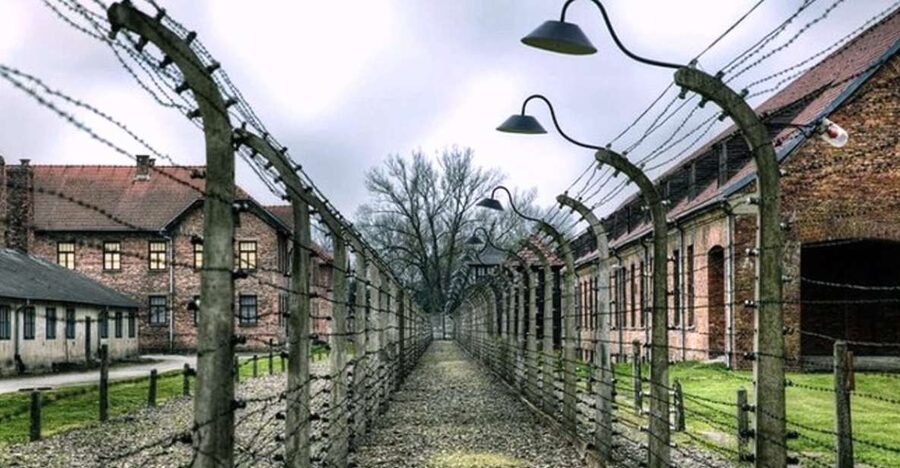 Krakow: Guided Auschwitz-Birkenau Tour - Minivan Transport - Van Comfort and the Value of Small-Group Transport
