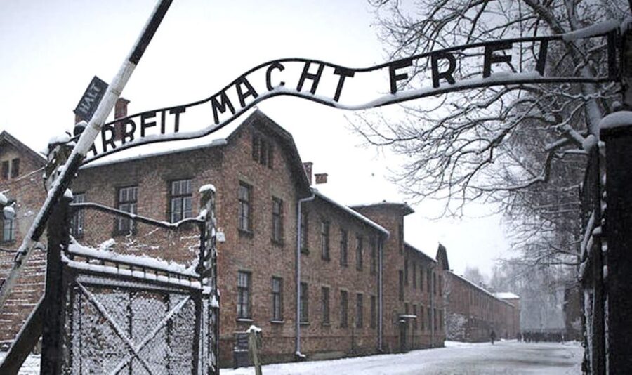 Krakow: Guided Auschwitz-Birkenau Tour - Minivan Transport - Walking, Shoes, and the Reality of a Long Day