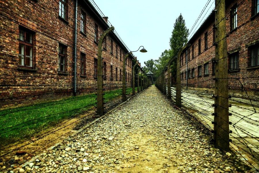 Krakow: Guided Auschwitz-Birkenau Tour - Minivan Transport - Skip-the-Line Entry: How You Avoid the Worst of the Waiting