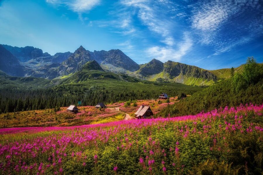 Krakow: Tatra Mountains and Zakopane Full-Day Private Tour - Krupowki Street: the easiest way to feel Zakopane fast