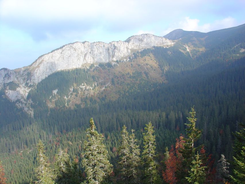 Krakow: Tatra Mountains and Zakopane Full-Day Private Tour - Villa Atma and the oldest parts of Zakopane: architecture with a reason to exist