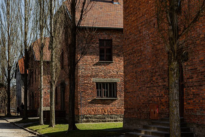 Krakow to Auschwitz Birkenau Guided Tour with Private Transfer - Why This Auschwitz-Birkenau Day Trip Works Better Than Going Solo
