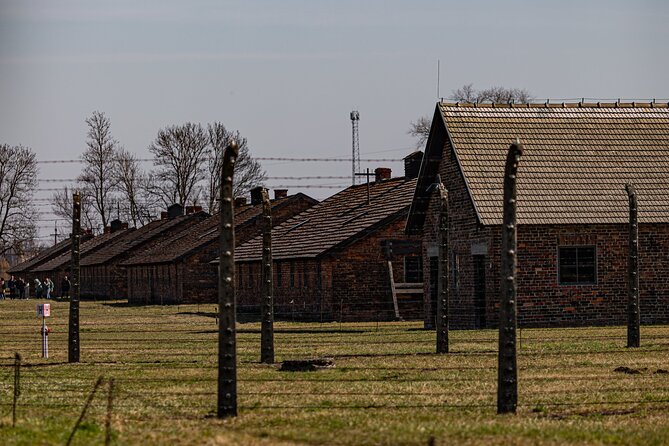 Krakow to Auschwitz Birkenau Guided Tour with Private Transfer - Skip-the-Line Access and Mobile Ticketing: Small Logistics, Big Relief
