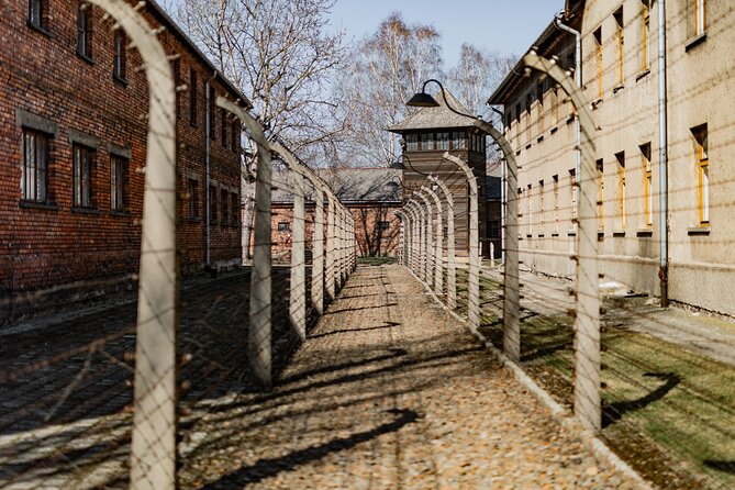 Krakow to Auschwitz Birkenau Guided Tour with Private Transfer - The Private Transfer From Krakow: Comfort, Timing, and Less Stress