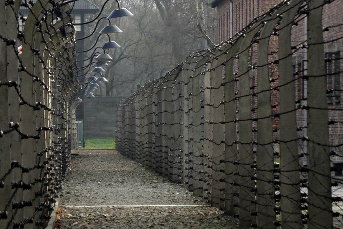 Krakow to Auschwitz Birkenau Guided Tour with Ticket and Transfer - From Krakow to Auschwitz: The Ride, Headsets, and Group Size