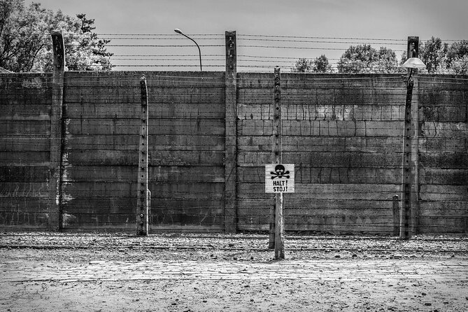 Krakow to Auschwitz-Birkenau Live Guided Tour & Hotel Pick-up - From Krakow to Oswiecim: the ride part is actually worth getting right