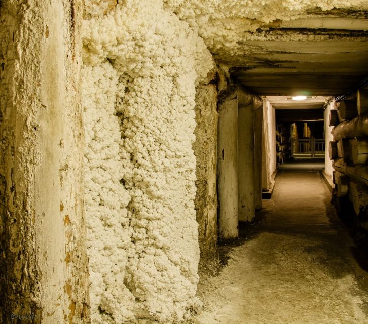 Krakow: Wieliczka Salt Mine Skip-the-Line Live Guided Tour - Price and value: is $33 a fair deal?