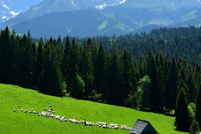 Krakow: Zakopane with Thermal Baths, Cable Car & Hotel Pickup - Oscypek Tastings at the Museum, Plus What You’re Getting for Your Money