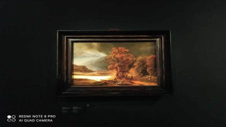 Museo Czartoryski: Visita in italiano e salta la fila - The Italian guide experience: what the 2 hours are really for