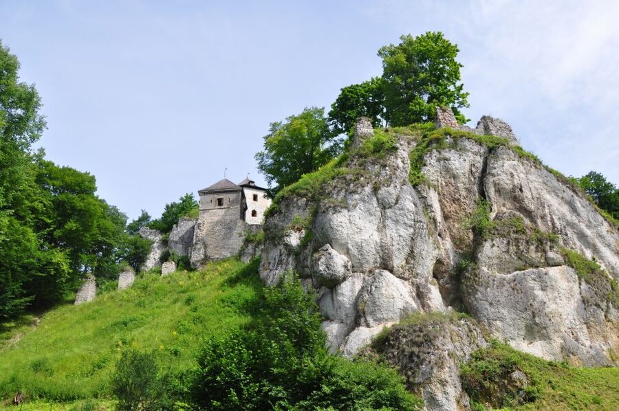 Ojcow National Park: Full-Day Trip from Krakow - The Forest Hike to Krakow Gate: Where the Park Becomes Real