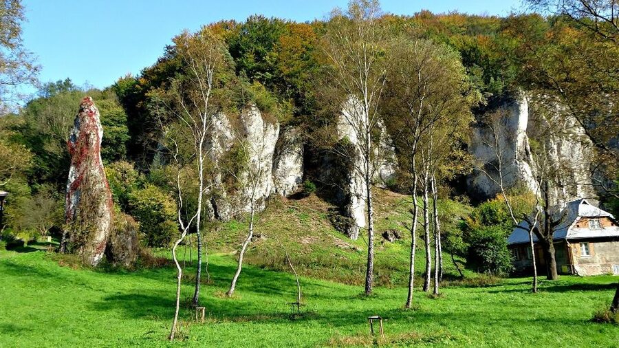 Ojcow National Park: Full-Day Trip from Krakow - Pieskowa Skala Limestone Cliff Castle: A Well-Preserved Stop