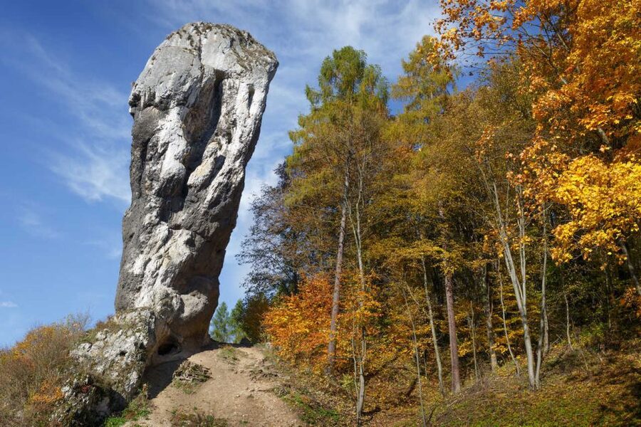 Ojcow National Park: Full-Day Trip from Krakow - Hercules’ Club Photo Stop and How to Get Great Pictures
