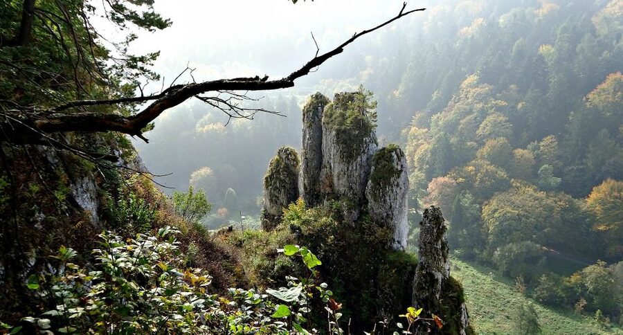 Ojcow National Park: Full-Day Trip from Krakow - Guides Matter: Matthew and Krzysztof Set the Tone